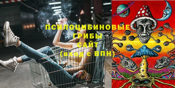 первитин Бородино