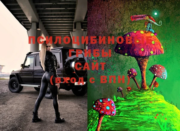первитин Бородино